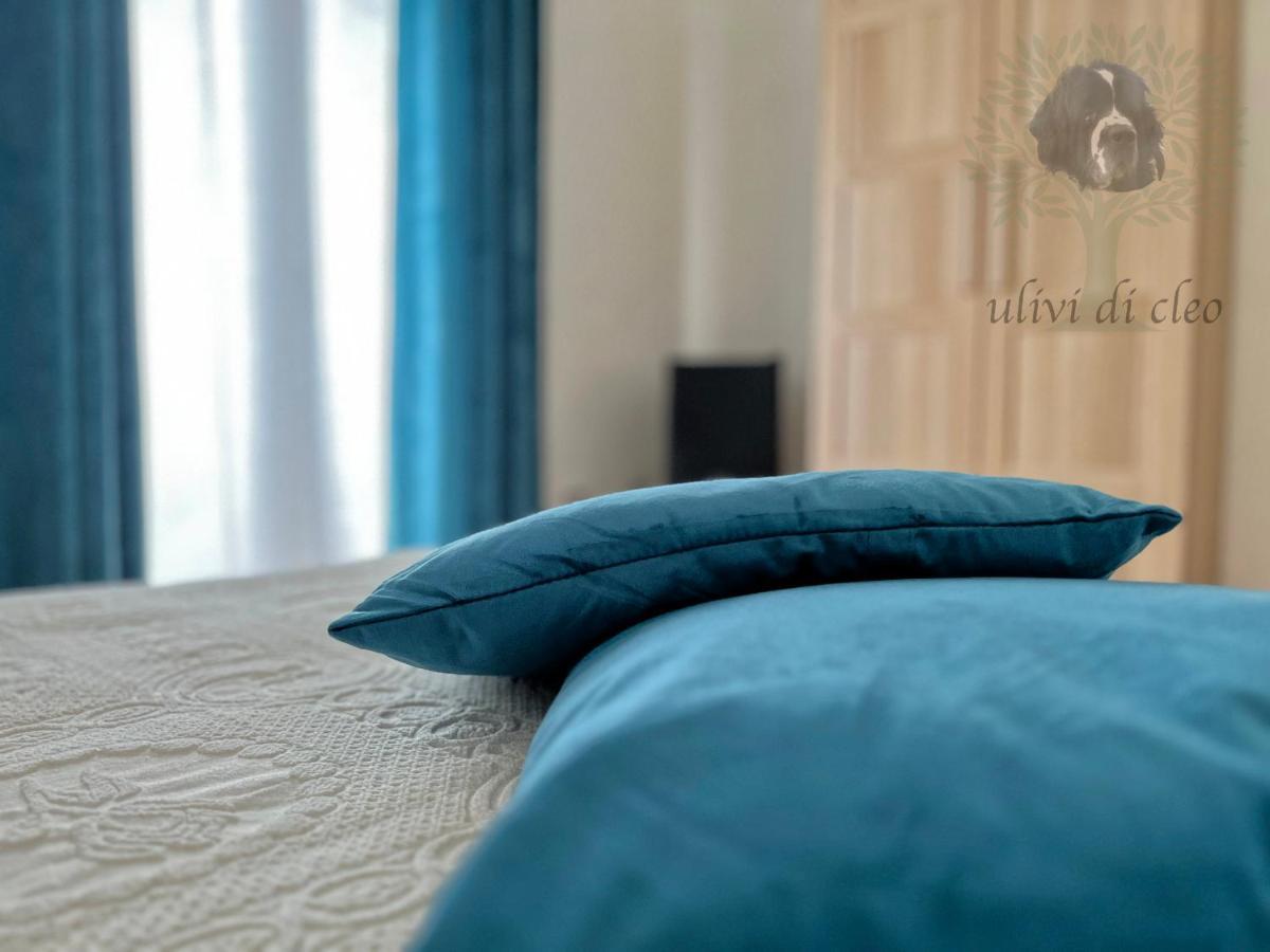 Гостевой дом Ulivi Di Cleo Реальмонте Экстерьер фото