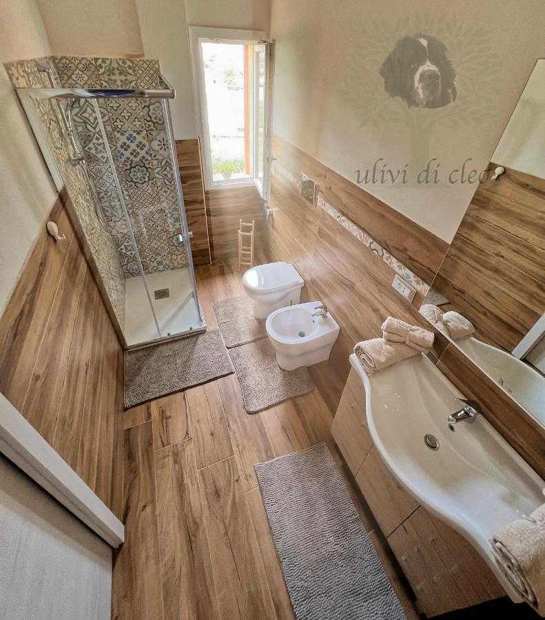 Гостевой дом Ulivi Di Cleo Реальмонте Экстерьер фото